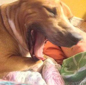 Meet your Posher, Kristina